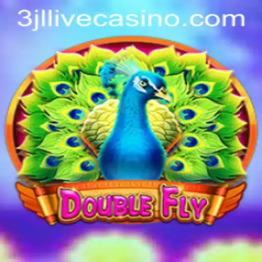 Discovering DoubleFly: An Innovative Game Experience